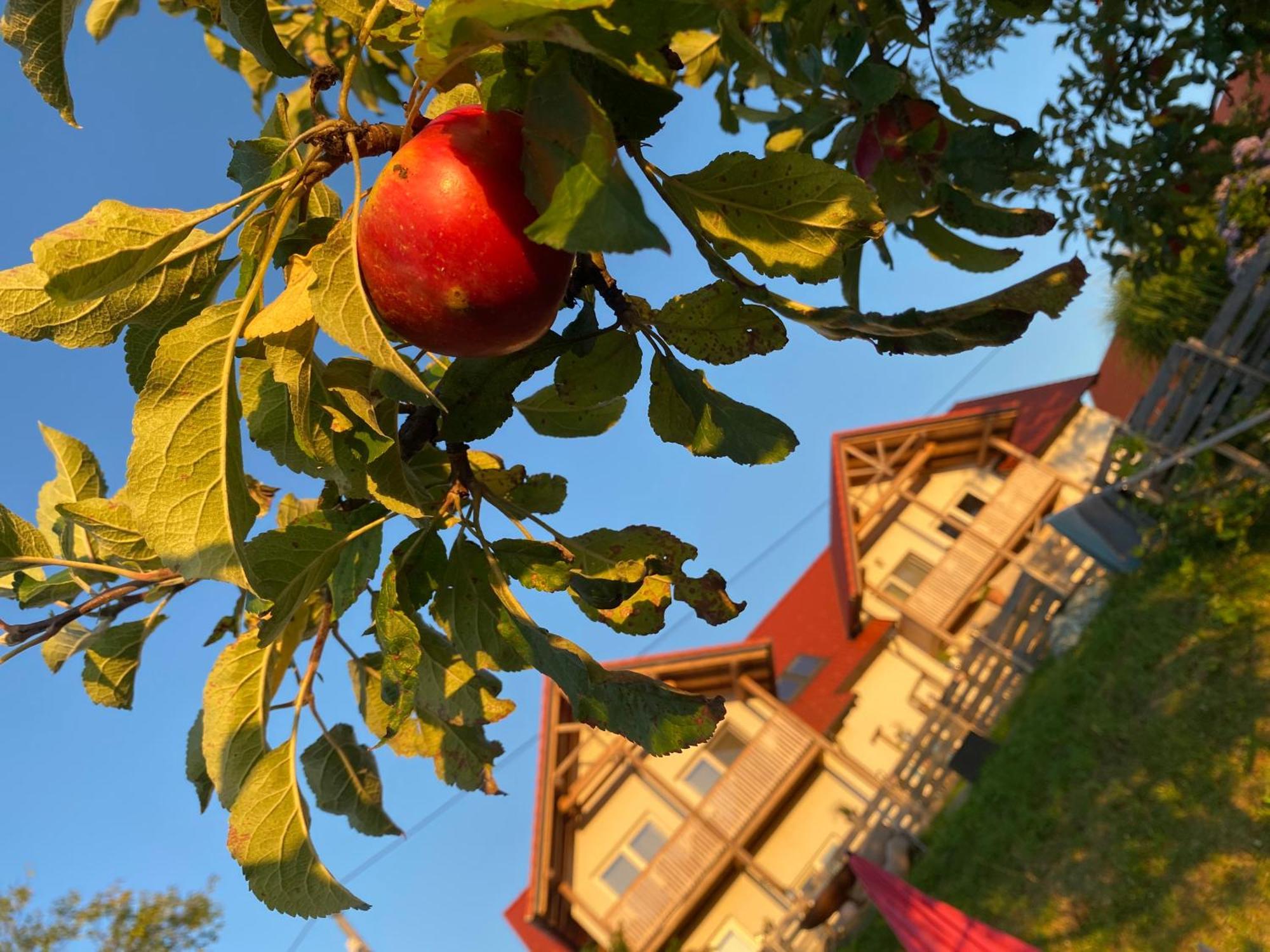 Fugger Alm Aparthotel Weichselbaum ภายนอก รูปภาพ